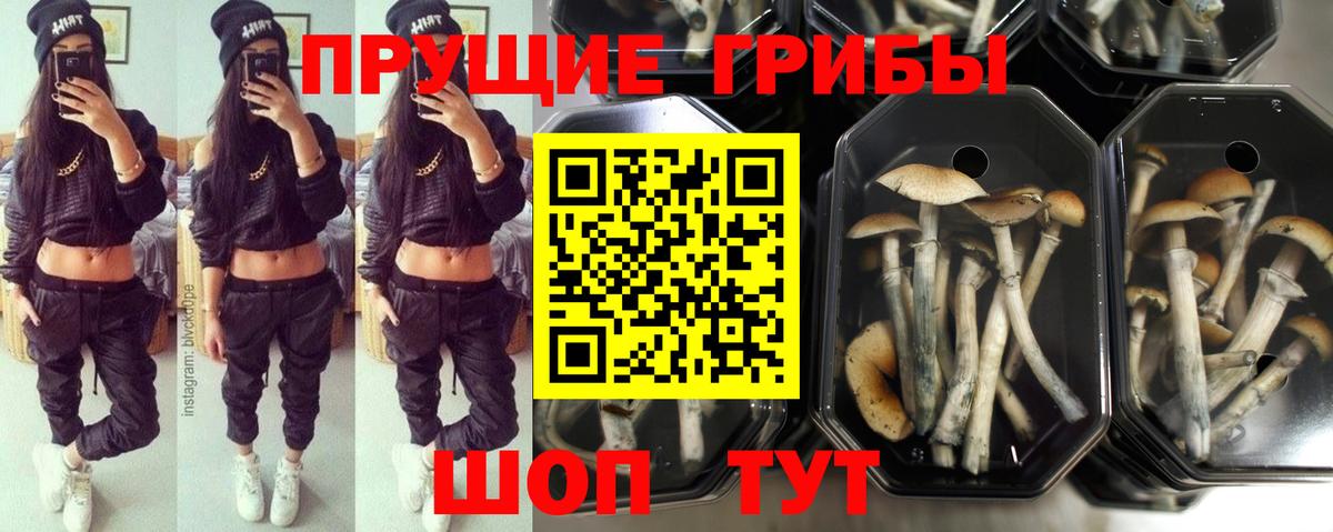 Можга  Галлюциногенные грибы мухоморы  Галлюциногенные грибы GOLDEN TEACHER  Вход с VPN 