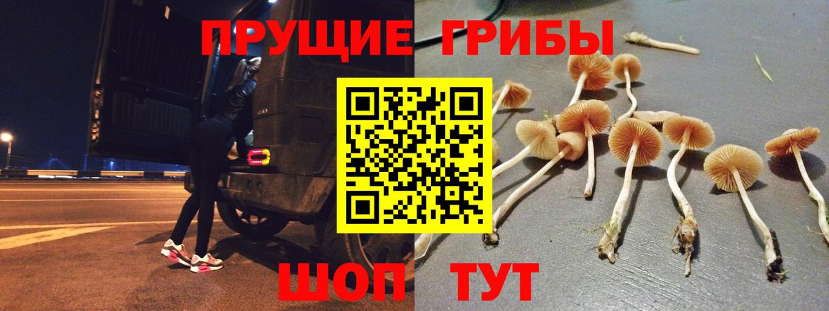 Галлюциногенные грибы ЛСД Можга
